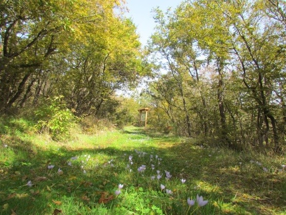 Туристическа екопътека „Минерални бани - Айкаас“
