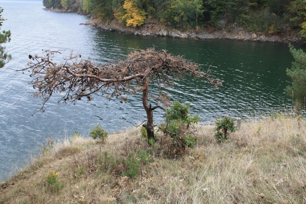 Искъра е красив
