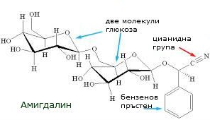 Бялата империя крие от нас! Витамин, който лекува и предпазва от рак е забранен! Ето в кои ядки и храни се съдържа в най-големи дози...