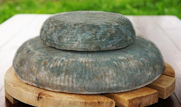 Зеленото сирене от Черни Вит смая света – млякото на Тетевенската овца и тайната на естествената плесен. Вижте защо се превърна в уникален ХИТ