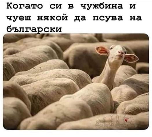 Най-смешните картинки и вицове от социалните мрежи тази седмица!