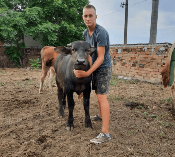 Българче в 11-ти клас отглежда сам биволи и овце