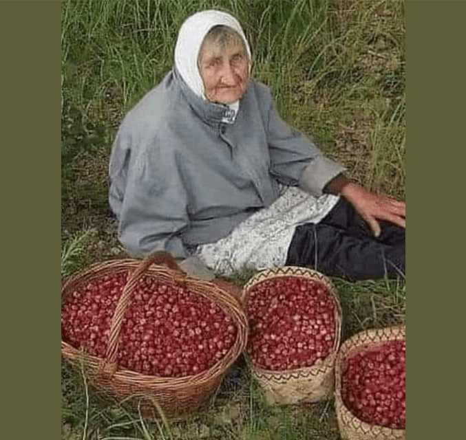 Бабата, която продаваше ягоди - поучителна история за благотворителност, опакована в достойнство